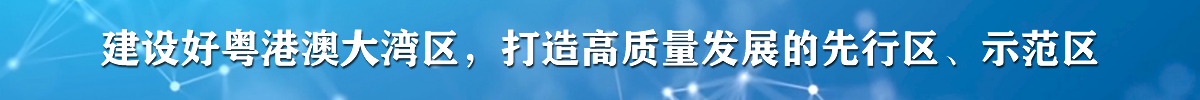 建设好粤港澳大湾区，打造高质量发展的先行区、示范区