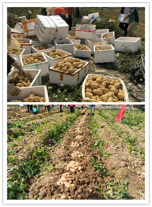 市生态环境局鹤山分局支援农耕一线，助力保障复工企业“菜篮子”供应02.png