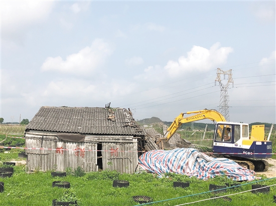 开平市大沙镇黎雄村委会大塘面村地处大沙河水库边,这里群山环抱