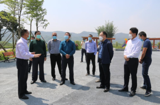 林飞鸣副市长调研恩平市"四好农村路"建设情况