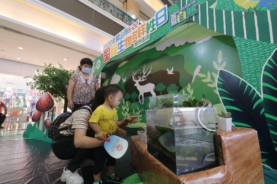 鹤山市举办2020年“5&bull;22”国际生物多样性日宣传活动06.jpg