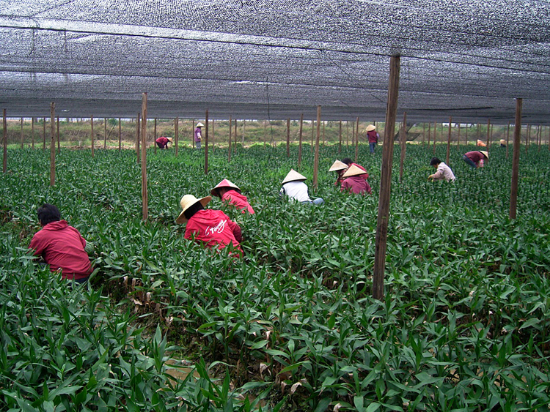 image001_副本.jpg