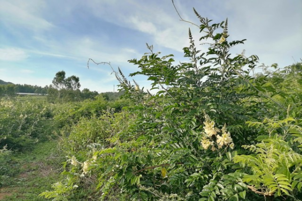 20200723162614jtGK.jpg