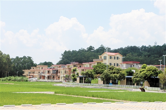 开平大塘面村:生态社区激活村民内生活力