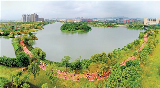 昔日黑臭已不在 龙溪河内现清流_高新江海资讯_江门市人民政府门户