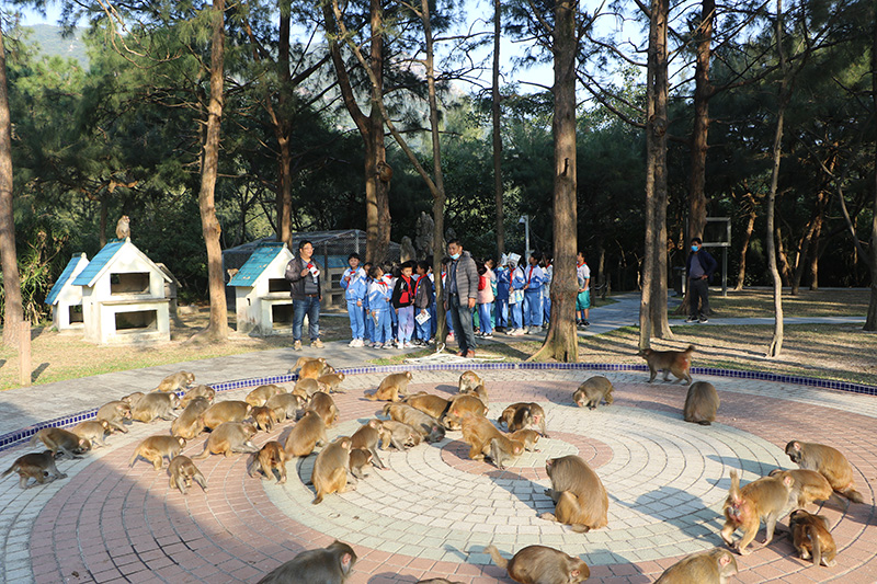 201229广东台山上川岛猕猴自然保护区开展科普宣教活动 (2).jpg