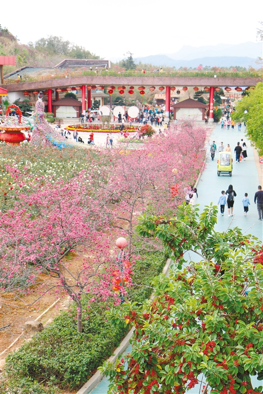 游客在花海欢乐世界登"长城",赏花海.