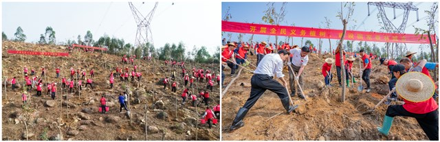 210315我市各地开展义务植树活动，掀起植树热潮 (10).png