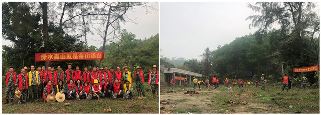 210315我市各地开展义务植树活动，掀起植树热潮 (11).png