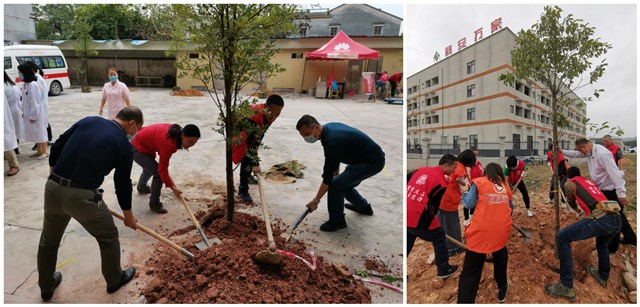 210315我市各地开展义务植树活动，掀起植树热潮 (13).png