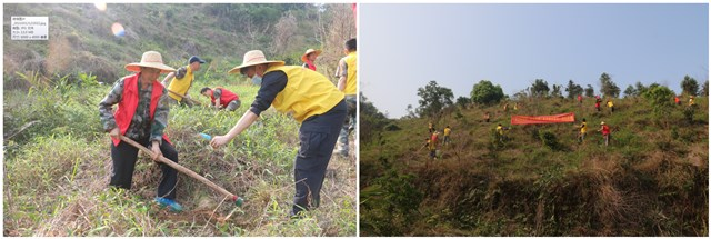 210315我市各地开展义务植树活动，掀起植树热潮 (14).png