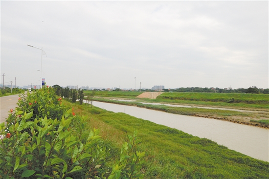 【资讯】鹤山碧道建设顺利推进 力争打造成高品质样板工程(图1)