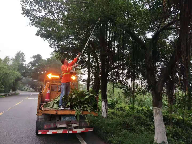 司徒灼名工作照.jpg