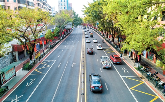 蓬江区白沙大道西成为城市道路全要素提升的样板. 周华东 摄