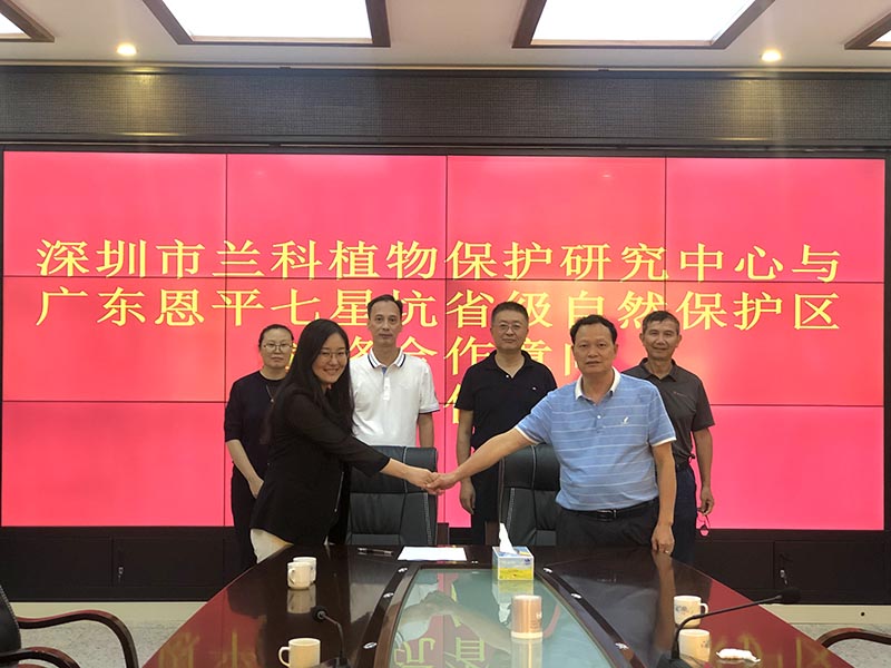 210714深圳市兰科植物保护研究中心赴广东恩平七星坑省级保护区开展兰科植物研究考察 (3).jpg