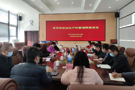 省农业农村厅农村合作经济指导处副处长丁艳平带队到江门市调研