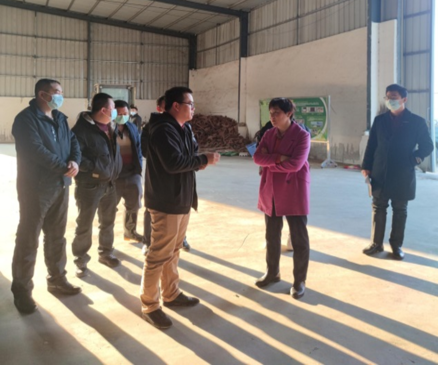 省农业农村厅农村合作经济指导处副处长丁艳平带队到江门市调研