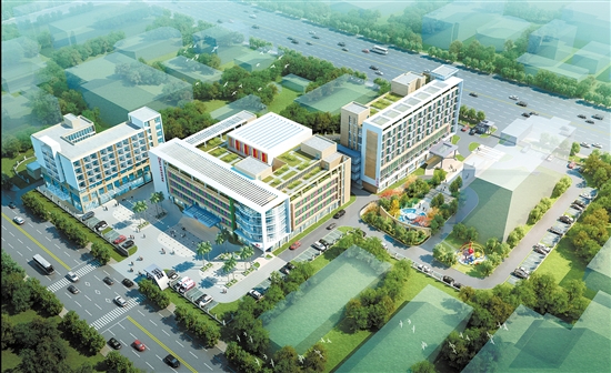 2020江门恩平区人均g_恩平有人养史宾格犬