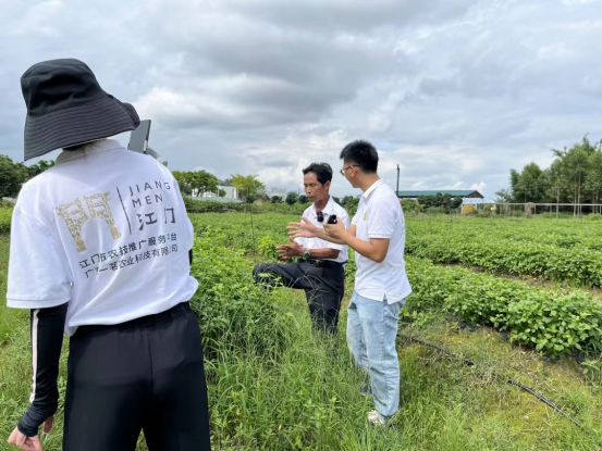 恩平首场农技知识大讲堂——恩平簕菜种植技术600.png