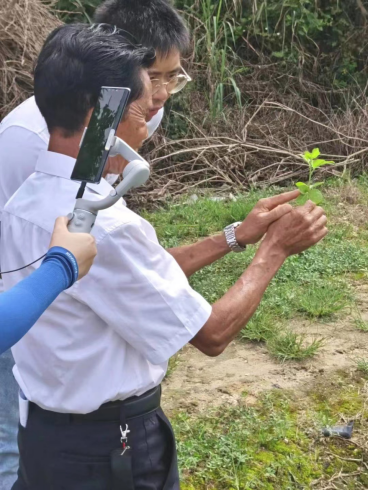 恩平首场农技知识大讲堂——恩平簕菜种植技术759.png