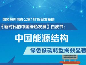 白皮书：中国能源结构绿色低碳转型成效显著
