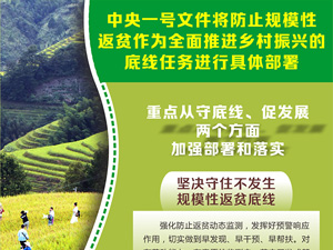 图表：中央一号文件将防止规模性返贫作为全面推进乡村振兴的底线任务进行具体部署