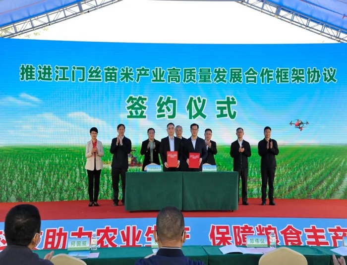省供销集团与我市签订合作协议  推进江门丝苗米产业高质量发展