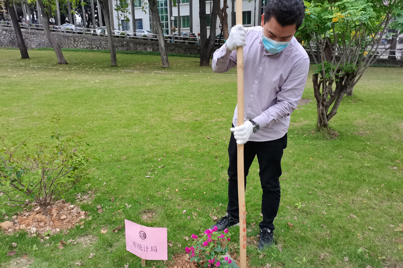 春和景明 植下新绿——江门市统计局青年团员参加市机关大院2023年第二期义务植树活动