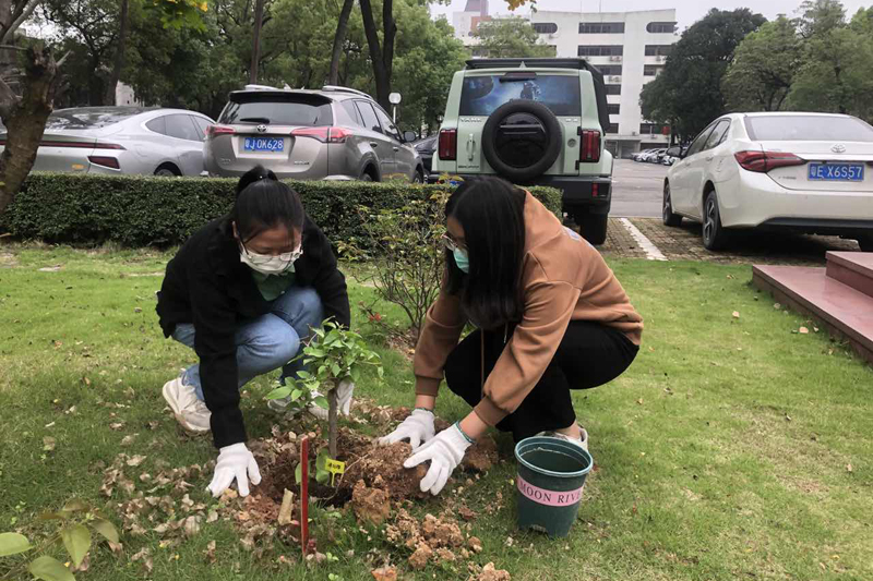 4.10植树活动2(1).jpg