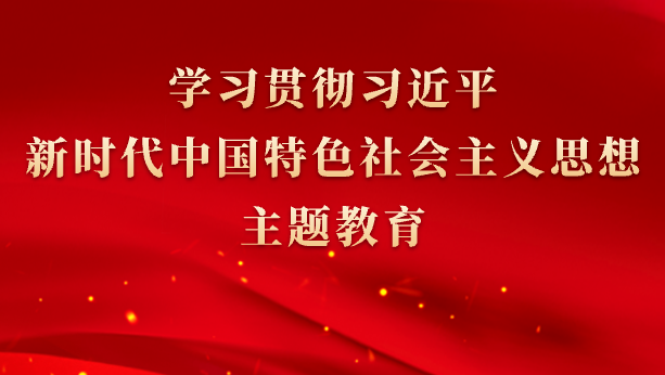 学习贯彻习近平新时代中国特色社会主义思想主题教育