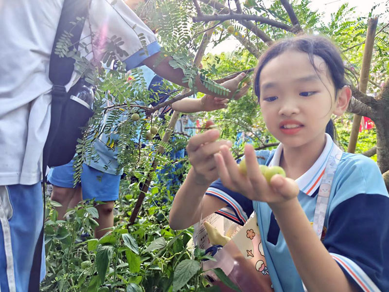 231008台山市甫草林场开学季&bull;“育”见自然系列自然教育活动第一课开讲啦 (5).jpg