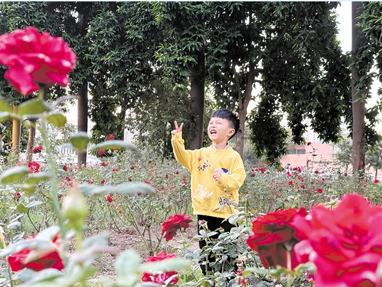 微信截图_20231123092231.png