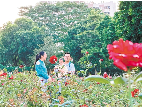微信截图_20231123092244.png
