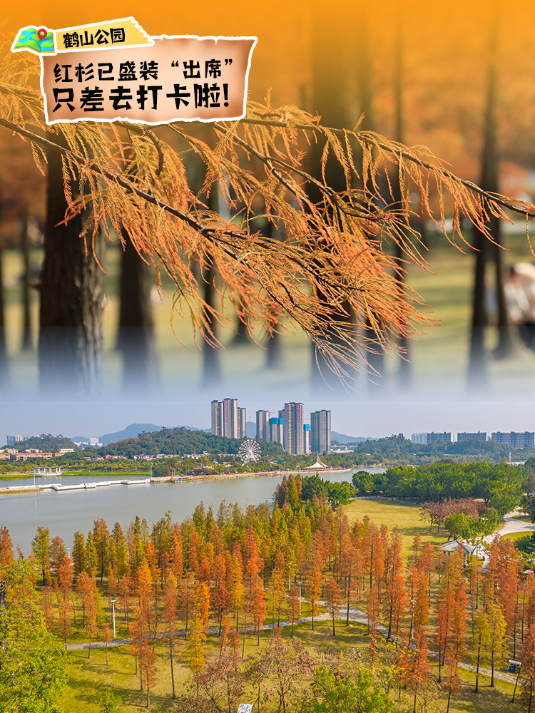 微信图片_20240111144827.jpg