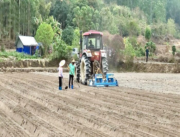 撂荒地种花生(1).jpg