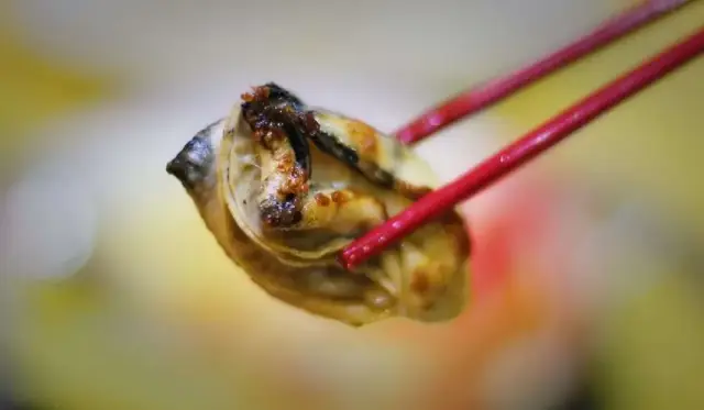 梁少华摄