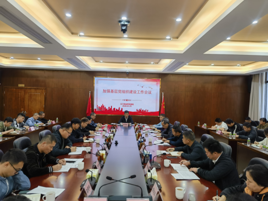 241205市自然资源局召开加强基层党组织建设工作会议.png