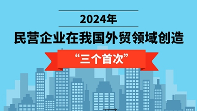图表：2024年民营企业在我国外贸领域创造&quot;三个首次&quot;