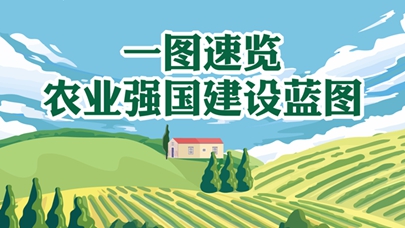 图表：一图速览农业强国建设蓝图