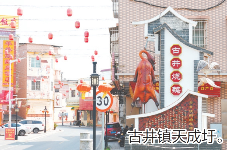 微信截图_20250618090928.png