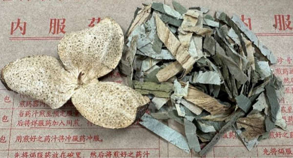 陈皮荷叶图片.png