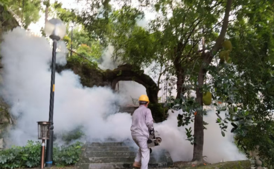 市机关事务局积极开展防蚊灭蚊行动