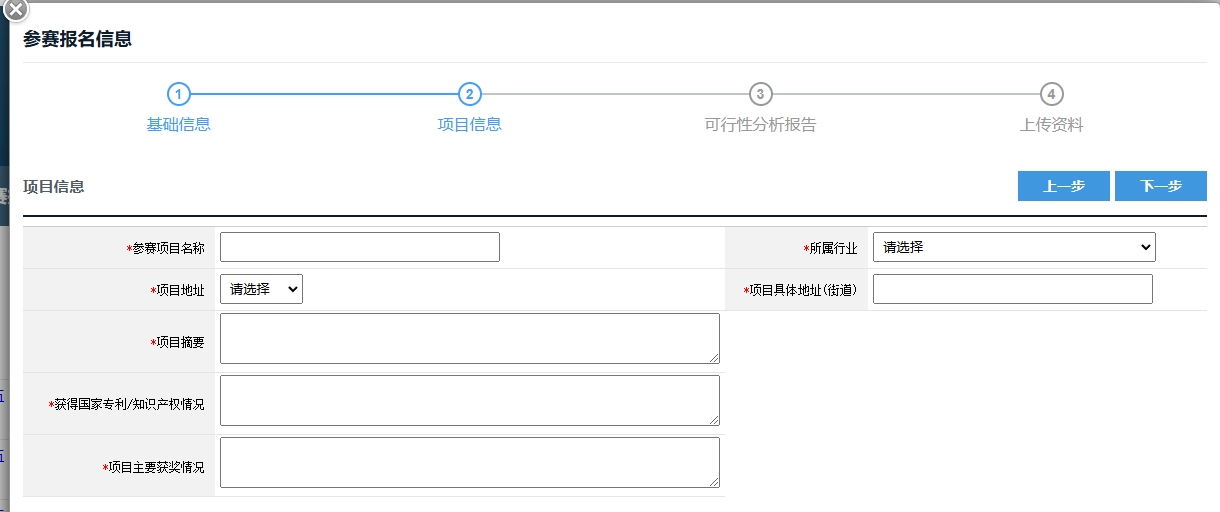 xiangmuxinxi1.png