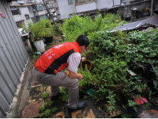 250807防蚊灭蚊,我们在行动——江门市自然资源局开展爱国卫生运动 (4).png