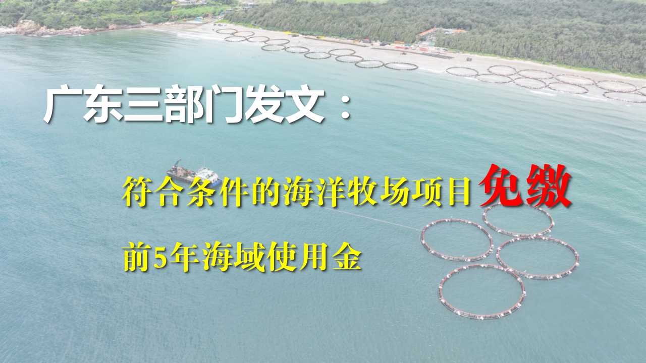 广东三部门发文：符合条件的海洋牧场项目免缴前5年海域使用金