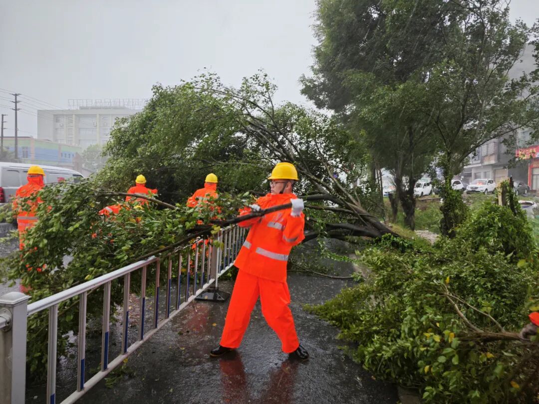 台风“塔巴”在我市登陆，市公路部门全力守护国省道安全畅通