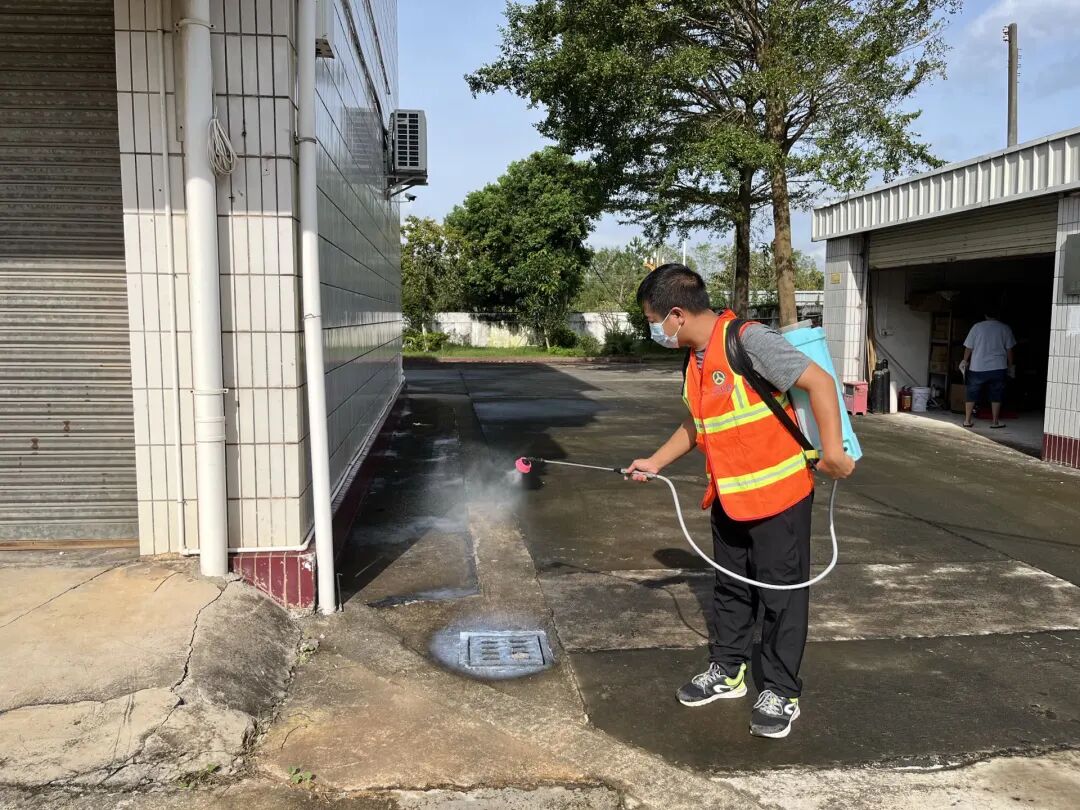 灭蚊+养护双线作战！江门市公路系统筑牢健康防线，守护宜居环境