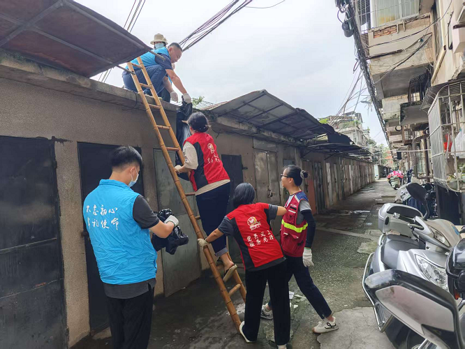 图片2：党员志愿者清理屋顶潮湿区域的垃圾和杂物.png