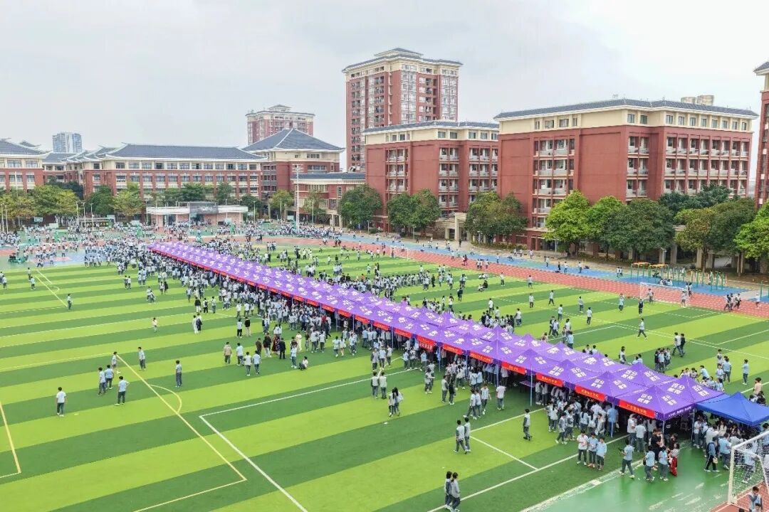 打破信息差！超千名江门籍大学生集体“返乡传经”