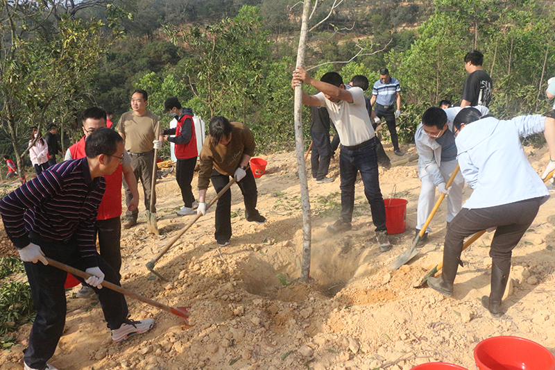 260318江门市开展2026 年全省联动推进绿美广东生态建设义务植树活动 (2).jpg